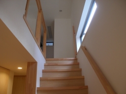 P2010074